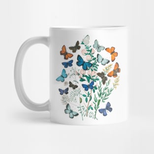 Lispe Butterflies Vintage (1882) European Butterfly Collection Mug